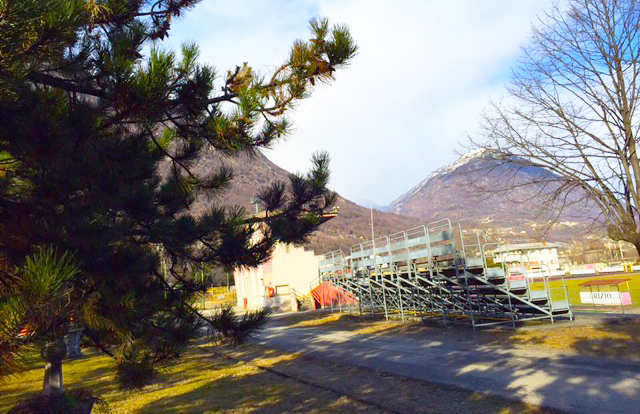 albero stadio