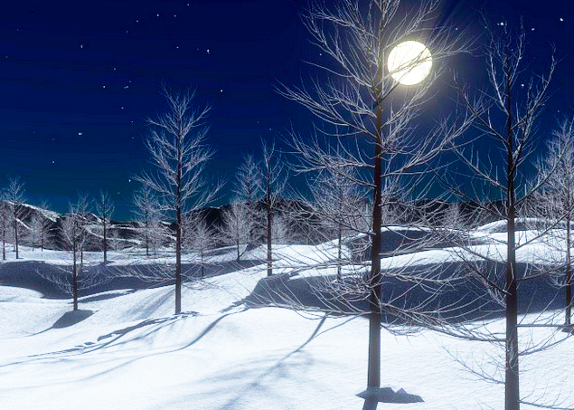 luna neve alberi notte