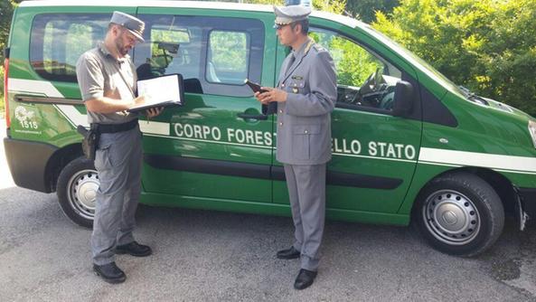 cfs marzo 2016
