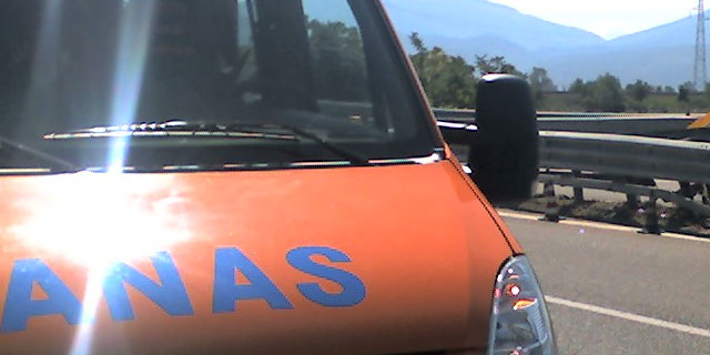 anas generico