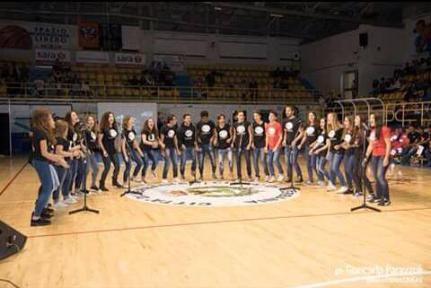 gatta volpe concerto