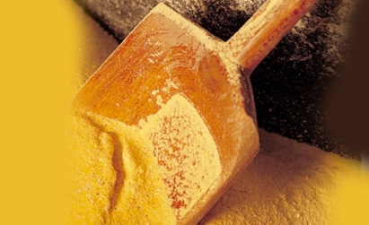 polenta paletta