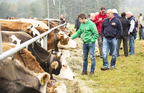 mostrabovina vigezzo