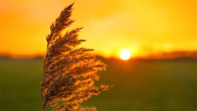 sole tramonto