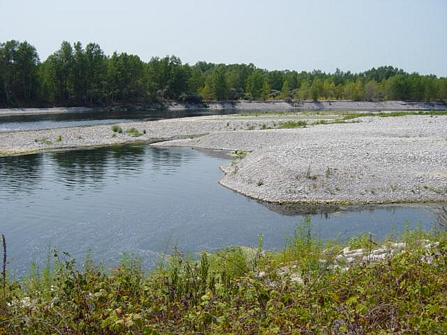 ticino fiume