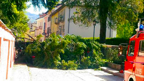 crollo pianta smm