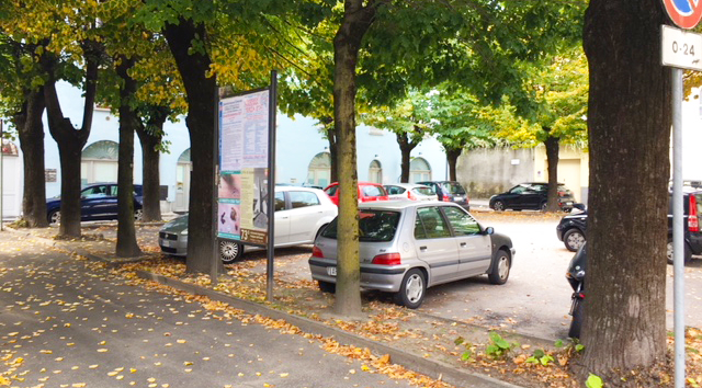 piante largo madonna neve gibellino