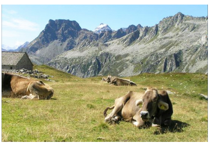 Schermata 2018 08 16 alle 16.39.03