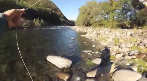 pesca s b