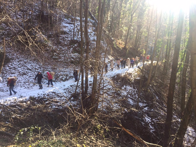 cuzzego sant antonio