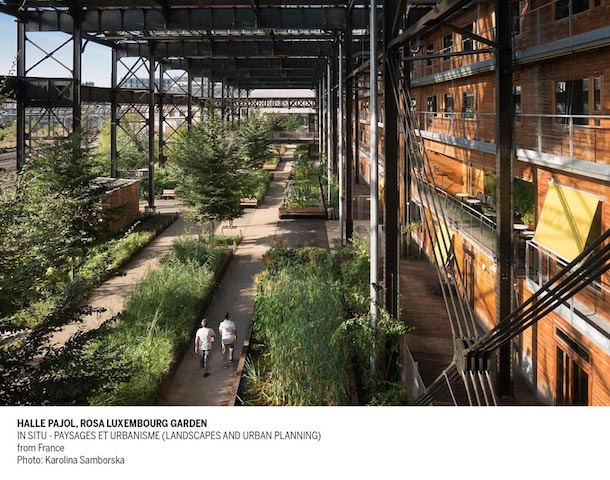 14. HALLE PAJOL ROSA LUXEMBURG GARDEN Ph Karolina Samborska