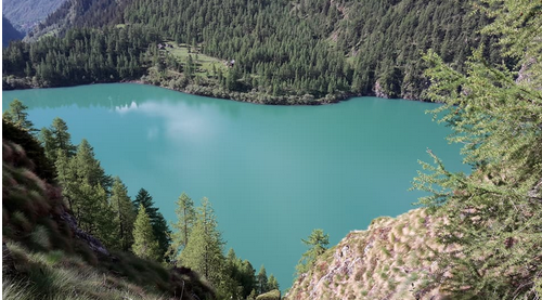 Schermata 2019 02 03 alle 17.40.52