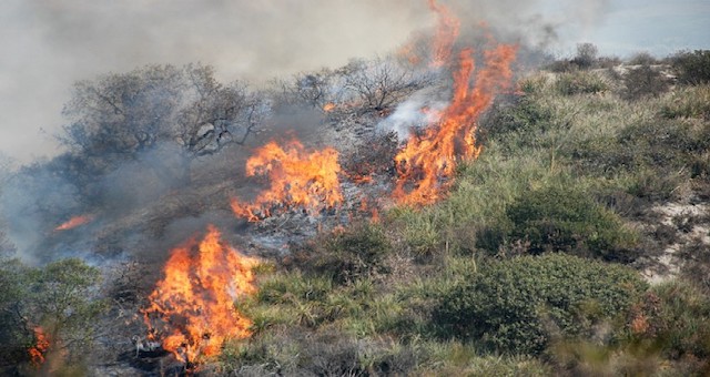 incendi 1