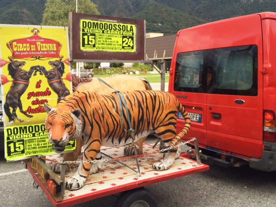 circo reclame pubblicita