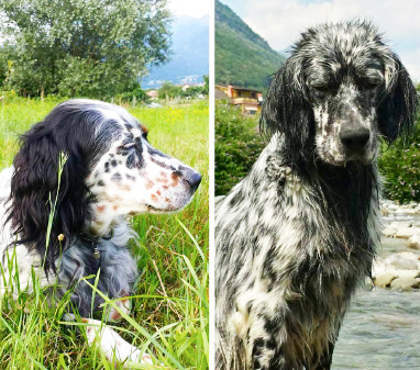 setter scomparsi baceno