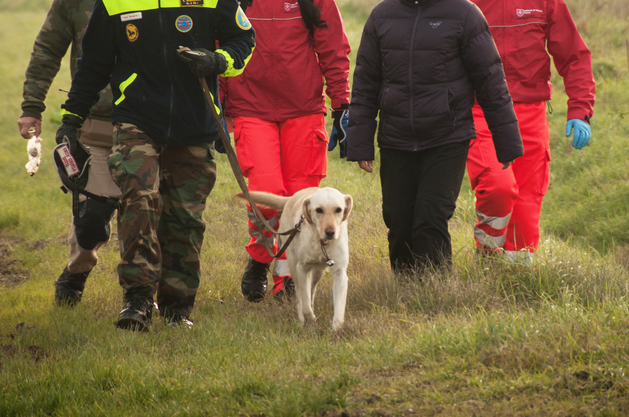 cane squadra ricerche