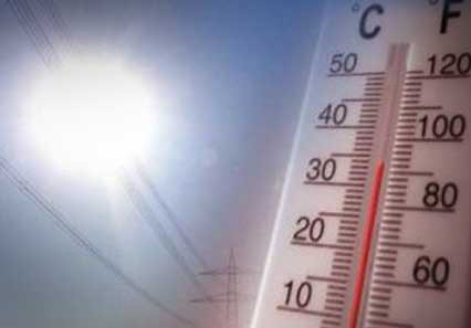 caldo generico