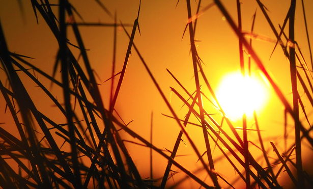 colpo calore sole
