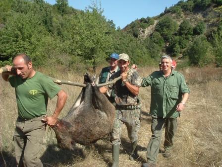 caccia cinghiale