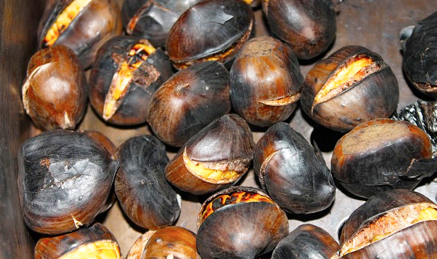 castagne cotte
