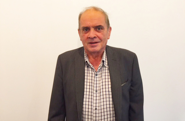 gallo bernardino sfondo bianco