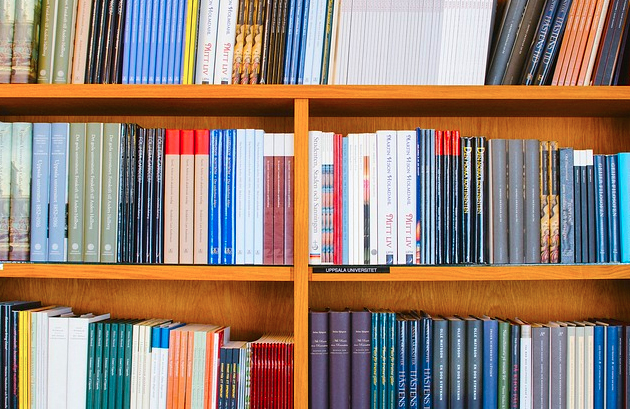 libri scaffali