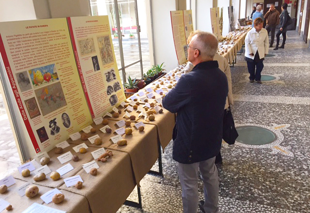 mostra pomologica rosmini