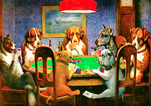 poker cani