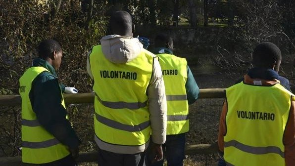 profughi volontari