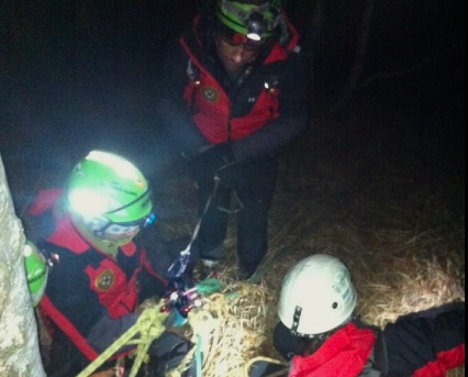 soccorso bosco