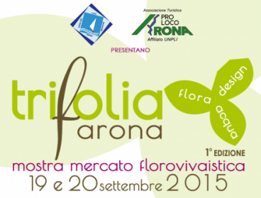 trifolia