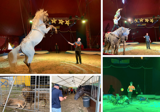 circo citta roma domo ago 19 mix