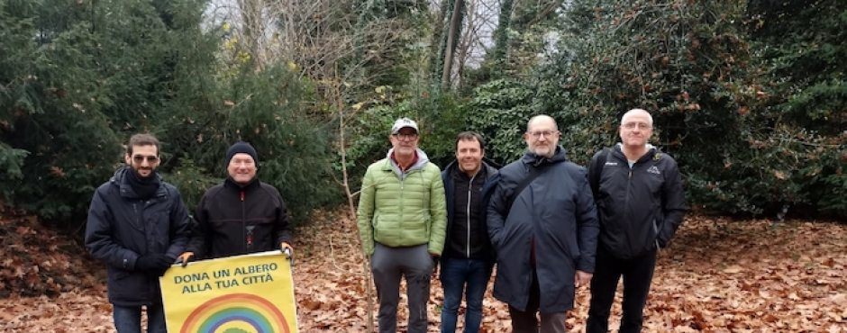 Il M5S VCO pianta un Ginkgo Biloba a Omegna