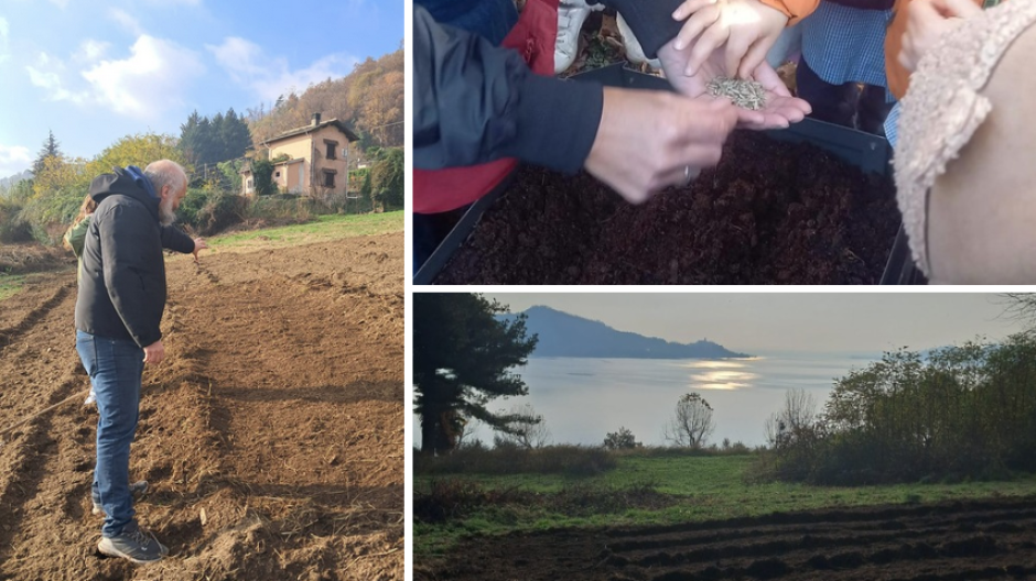 A Malesco cresce il progetto del grano a km zero per i runditt 