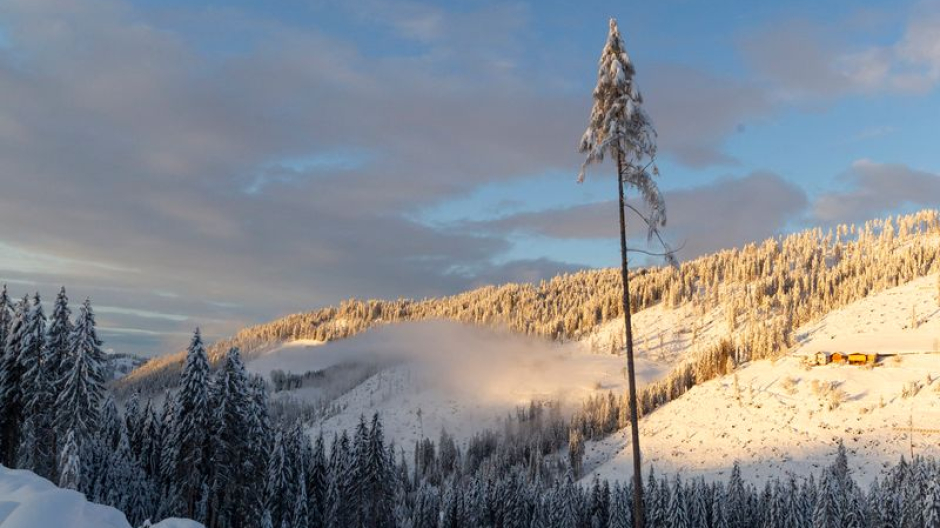 Domodossola, eventi e incontri per