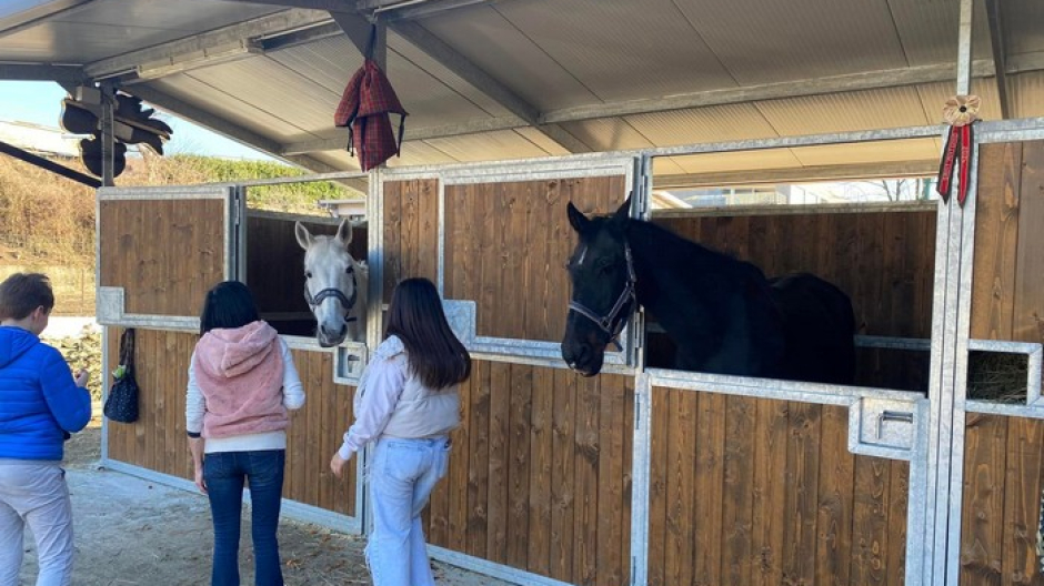 Il presepe vivente inclusivo nella scuderia di Cavallo amico
