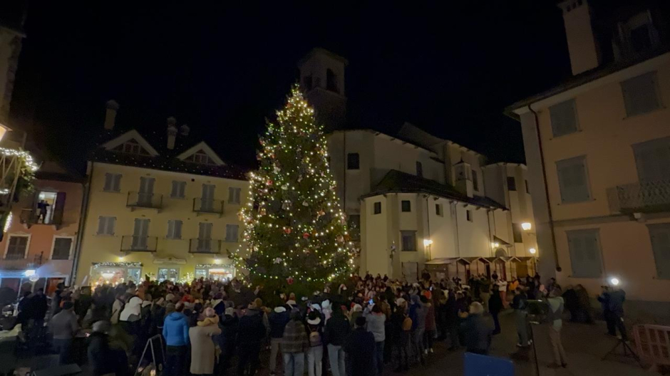 S.M. Maggiore, acceso l'albero: il Natale scalda i motori verso il Mercatino
