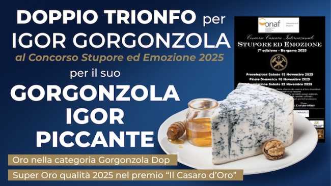 premio igor gorg nov 25