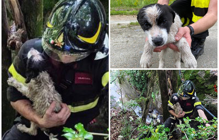 Cagnolino bloccato tra le acque agli orridi di Uriezzo. Salvato dai vigili del fuoco