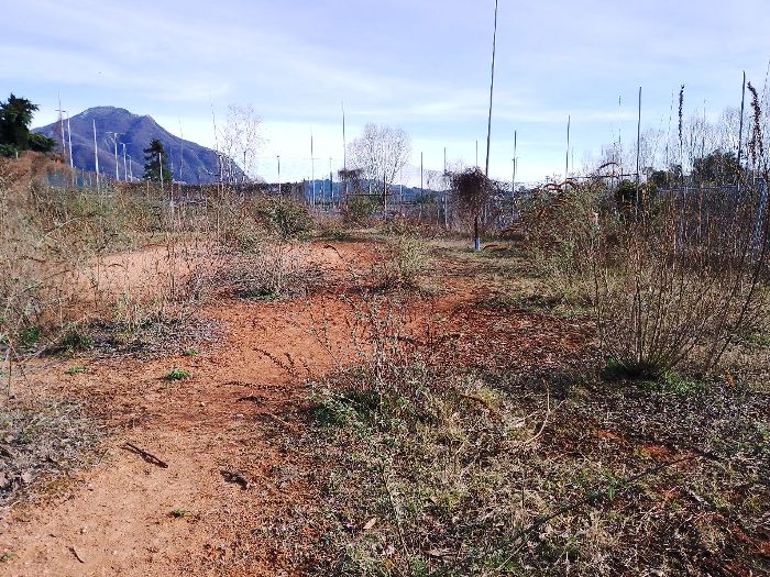 Area "campi da tennis" sul San Giovanni: stanziati fondi