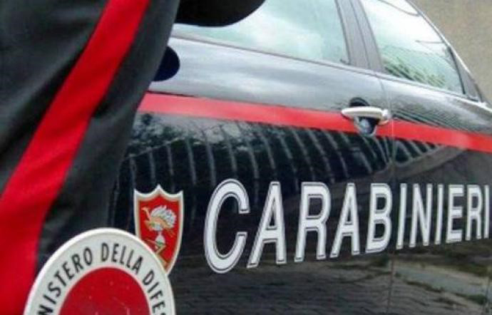 Truffa un varesino che voleva acquistare un cane “barboncino toy mini”. Denunciata per truffa e falsa identità