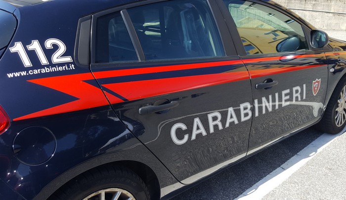 Cordoni ombelicali ceduti dalla Svizzera alla Polonia: la Procura archivia