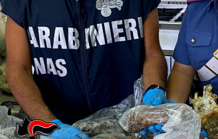 Carenze igieniche e irregolarità: maxi multa ad albergo ossolano  