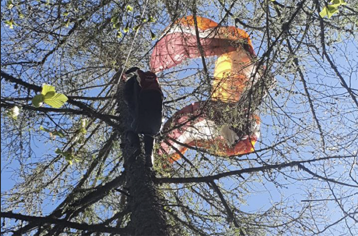 Era sospeso a 20 metri d’altezza su un albero il parapendista 50enne salvato dai VVf al Lusentino. Foto