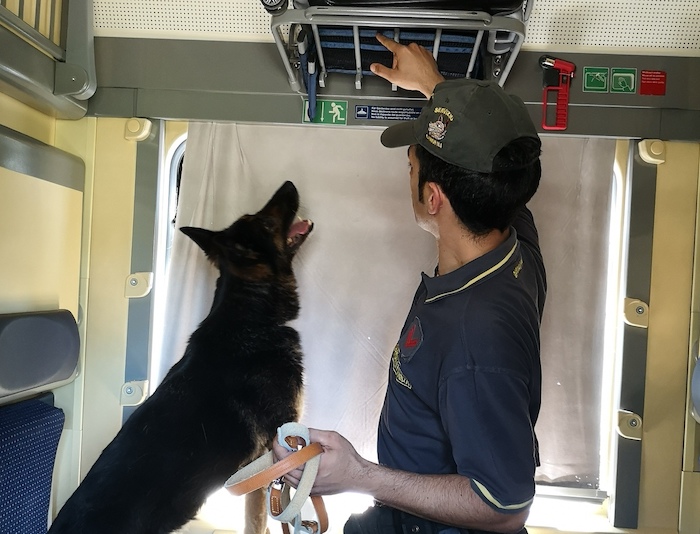Profuga della Nigeria corriere della droga: fermata sul treno con 5 chili di marijuana