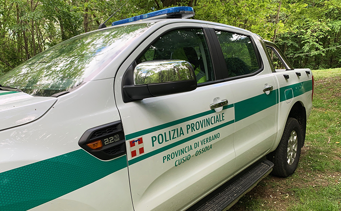 Malgoverno di animali, denunciato un allevatore. Due maiali lasciati al Veglia, uno è morto