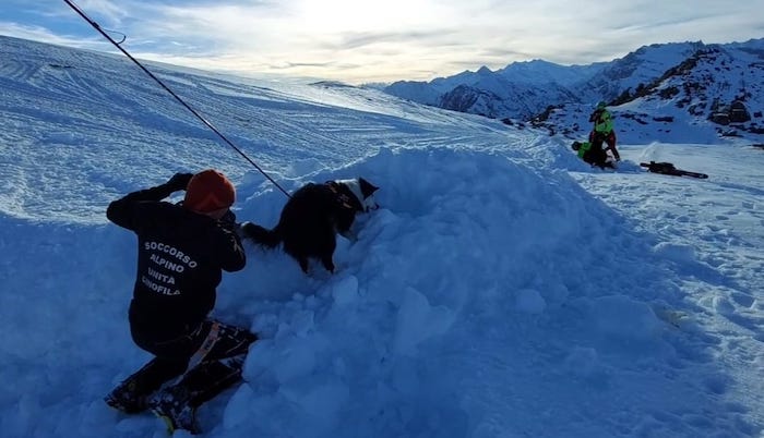 Valanga sugli sciatori: intervengono i cani, esercitazione a Domobianca  - Foto