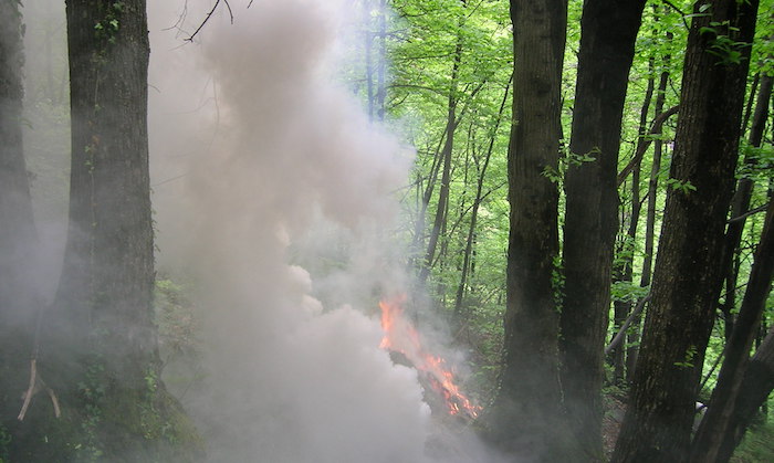 Bosco in fiamme a Someraro (Stresa)