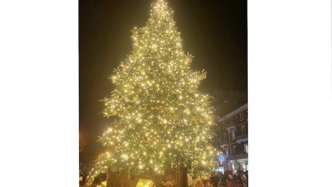 Arona, acceso il grande albero e le luminarie