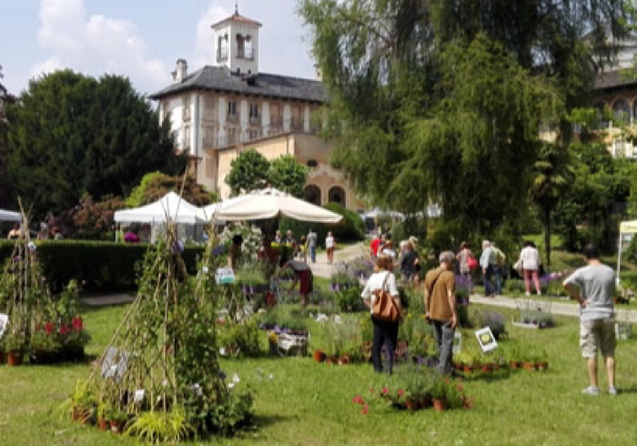 Piante, fiori e cultura: a Miasino torna il festiva Menta e rosmarino. Appuntamento 11 e 12 giugno